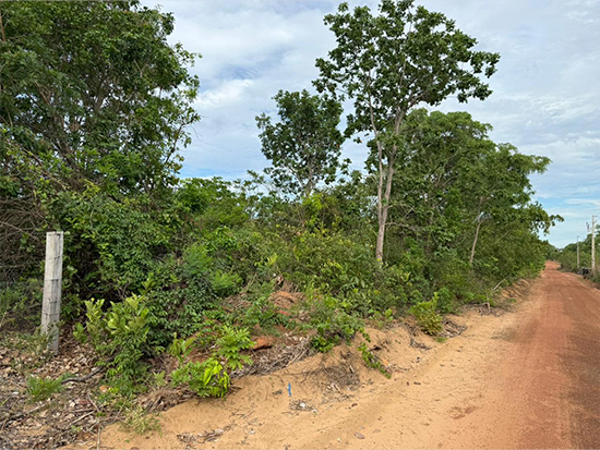Terreno - Nova Xavantina - MT - Terreno Rural,Comercial,Industrial,Residencial,Terreno,Rural,Terreno Urbano - Não informado - leilão extrajudicial - Não informado BR - lance mínimo R$ 28.000