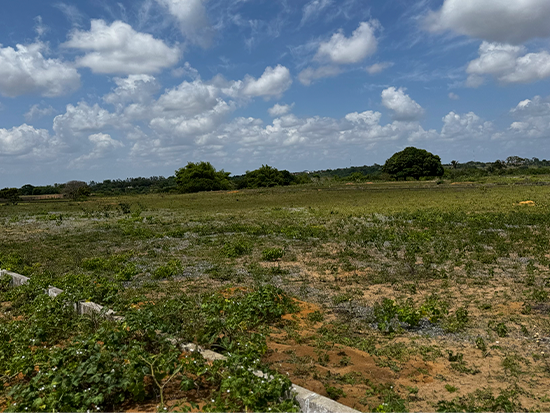 Terreno - Alhandra - PB - Terreno Rural,Comercial,Industrial,Residencial,Terreno,Rural,Terreno Urbano - Não informado - Não informado BR - lance mínimo R$ 10.000