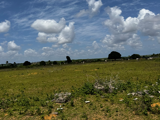 Terreno - Alhandra - PB - Terreno Rural,Comercial,Industrial,Residencial,Terreno,Rural,Terreno Urbano - Não informado - Não informado BR - lance mínimo R$ 10.000