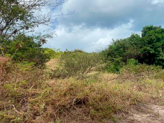 Terreno Conde PB - Terreno Rural,Comercial,Industrial,Residencial,Terreno,Rural,Terreno Urbano - Não informado - Não informado BR - lance mínimo R$ 12.000