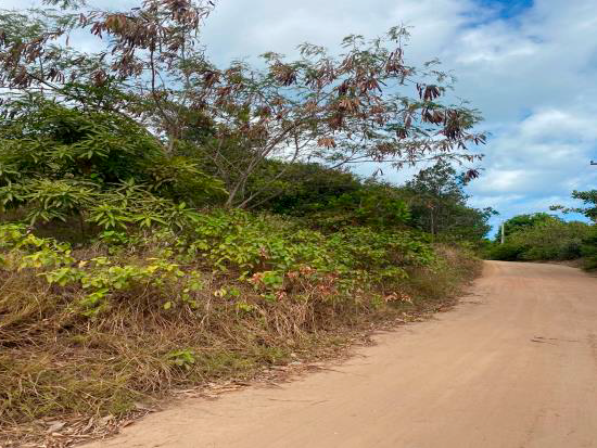 Terreno Conde PB - Terreno Rural,Comercial,Industrial,Residencial,Terreno,Rural,Terreno Urbano - Não informado - Não informado BR - lance mínimo R$ 12.000