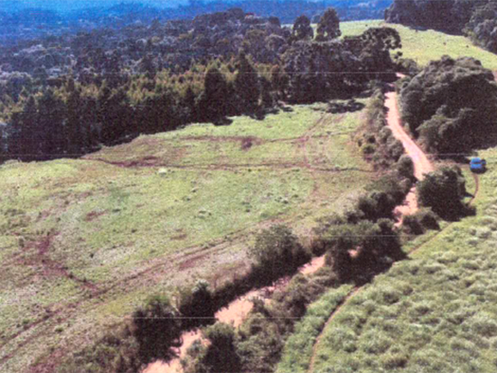 Terreno - Guarapuava - PR - Terreno Urbano,Terreno,Industrial,Terreno Rural,Comercial,Residencial,Rural - Guarapuava/PR. Terreno rural com área superficial de 45.375,00m², situado no lugar denominado Rio das Pedras, melhor descrito(a), confrontado(a) e caracterizado(a) em matrícula. Matrícula 42.896 do 3º RI local. - leilão extrajudicial - Não informado BR - lance mínimo R$ 187.300