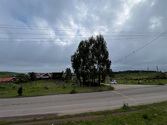 Terreno - Cambará do Sul - RS - Residencial - Cambará do Sul/RS. Loteamento Amauri Oliveira (in loco). Rua Tradição, sn (Lote 16). Terreno com área superficial de 491,00m². Matrícula 29.601 (CNM 099457.2.0029601-63) do RI da Comarca de São Francisco de Paula/RS. - leilão extrajudicial - Não informado BR - lance mínimo R$ 275.000