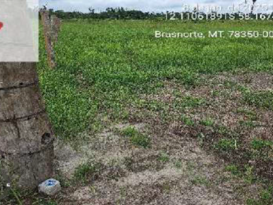 Terreno - Brasnorte - MT - Terreno Urbano,Terreno,Industrial,Terreno Rural,Comercial,Residencial,Rural - Brasnorte/MT. Loteamento Gleba Vale do Rio do Sangue. Terreno rural com área superficial de 24,2000has, situado no lugar denominado Estância Dona Elizabeth (Lote 348), melhor descrito(a), confrontado(a) e caracterizado(a) em matrícula. INCRA 901.458.001.791-0 (área maior). Matrícula 0521 do 1º RI local. - leilão extrajudicial - Não informado BR - lance mínimo R$ 698.000