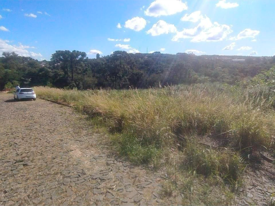 Terreno - Tibagi - PR - Terreno Urbano,Terreno,Industrial,Terreno Rural,Comercial,Residencial,Rural - Tibagi/PR. Centro (in loco). Rua Padre Anacleto, 306 (Lote 223 da Quadra 140 do Setor 01). Terreno com área superficial de 323,12m². Matrícula 11.984 do RI local. - leilão extrajudicial - Não informado BR - lance mínimo R$ 50.000