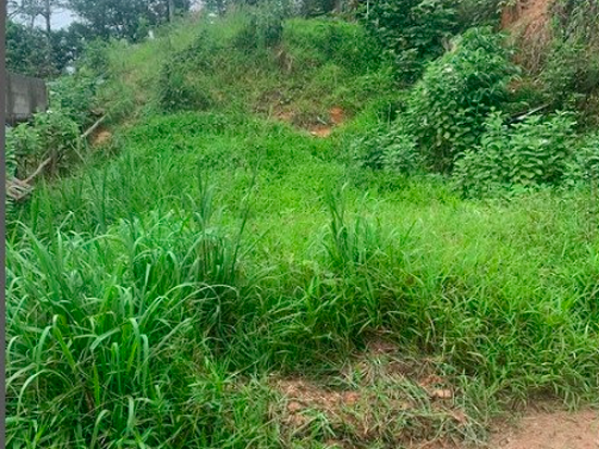 Terreno - Miracatu - SP - Terreno Urbano,Terreno,Industrial,Terreno Rural,Comercial,Residencial,Rural - Miracatu/SP. Bairro Estação. Avenida Washington Luiz, sn (B2-A2.5). Terreno com área superficial de 636,539m². Matrícula 11.876 do RI local. - Não informado BR - lance mínimo R$ 189.000