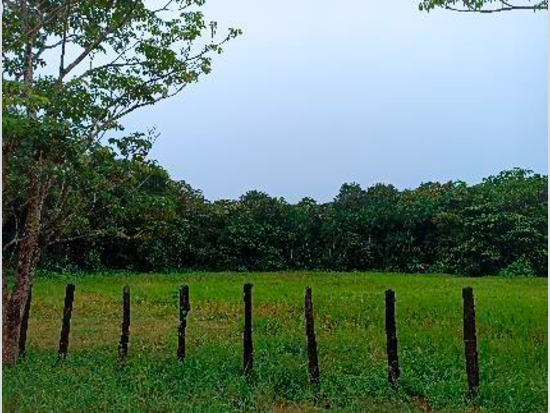 Terreno - Santa Isabel do Pará - PA - Terreno Urbano,Terreno,Industrial,Terreno Rural,Comercial,Residencial,Rural - Santa Isabel do Pará/PA. Bairro Sagrada Família. Rua Cristiane Araújo Gurgel, sn. Terreno com área superficial de 10.000,00m². Matrícula 6907 do RI local. - Não informado BR - lance mínimo R$ 230.720