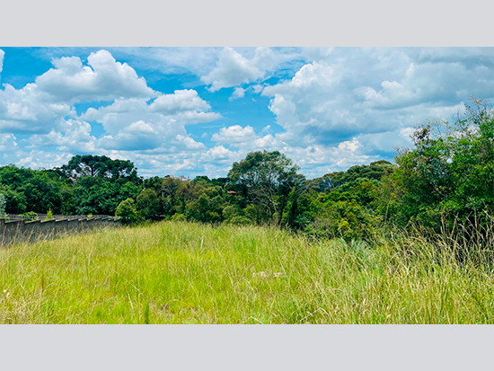 Terreno - Lages - SC - Terreno Urbano - Bairro Vila Maria. Avenida João Schultz, sn (Lote B). Terreno com área superficial de 1.050,00m². Matrícula 45.834 do 4º RI local. - leilão extrajudicial - Não informado BR - lance mínimo R$ 160.000
