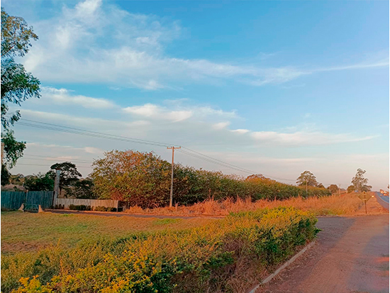 Gleba de Terras - Cassilândia-MS  - Rural,Terreno Rural,Comercial,Residencial - Cassilândia/ MS. a) Gleba de terras um (1), denominada Fazenda Salto, c/ área superficial de 12,81,48ha, situada na Fazenda do Salto. INCRA 000.027.106.186-2. Mat.15.229 do RI local. b) Gleba de terras três (3), denominada Estancia Dayse, c/ área superficial de.12,81,48ha, situada na Fazenda Salto. INCRA 000.051.168.688-1 (área maior). Mat.15.231 do RI local. - leilão extrajudicial - Não informado BR - lance mínimo R$ 243.000