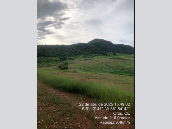 Terreno - Orós - CE - Terreno,Residencial,Terreno Urbano,Rural - Orós/CE. Bairro São Geraldo. Rua Projetada, 12 (in loco) (Quadra C). Terreno com área superficial 3.636m². Matrícula 1.583 do RI Local. - Não informado BR - lance mínimo R$ 498.361