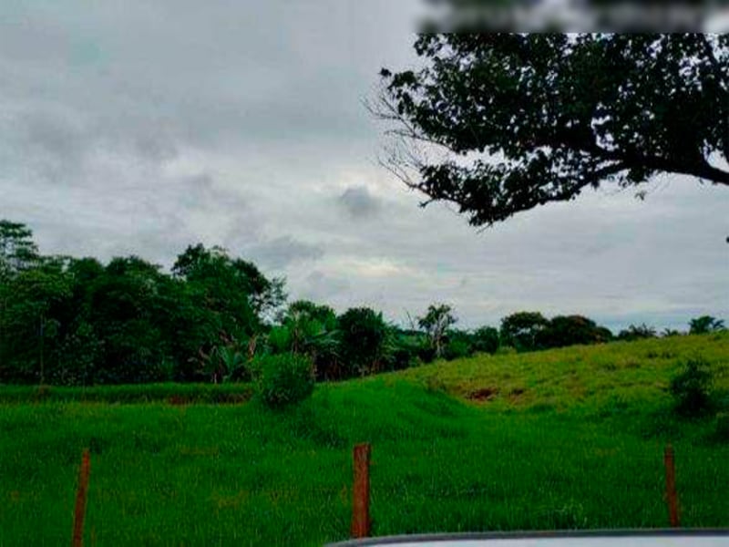 Fazenda - Iretama - PR, localizado em Iretama - PR