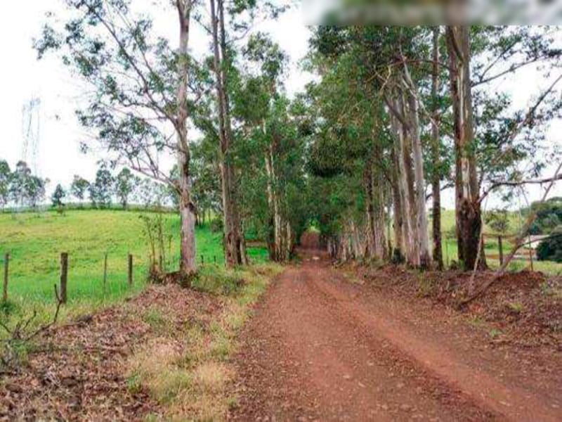 Fazenda - Iretama - PR, localizado em Iretama - PR