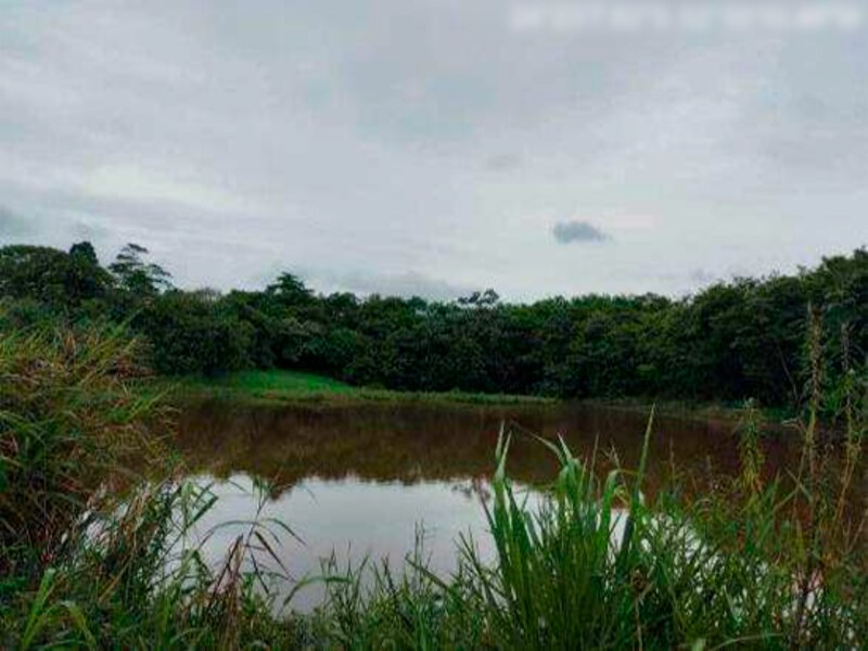 Fazenda - Iretama - PR, localizado em Iretama - PR