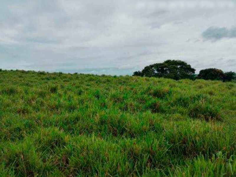 Fazenda - Iretama - PR, localizado em Iretama - PR
