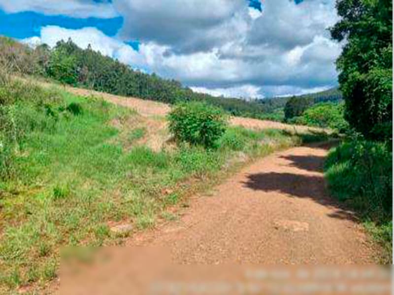 Área Rural - Ipuaçu - SC, localizado em Ipuaçu - SC, bairro Samburá