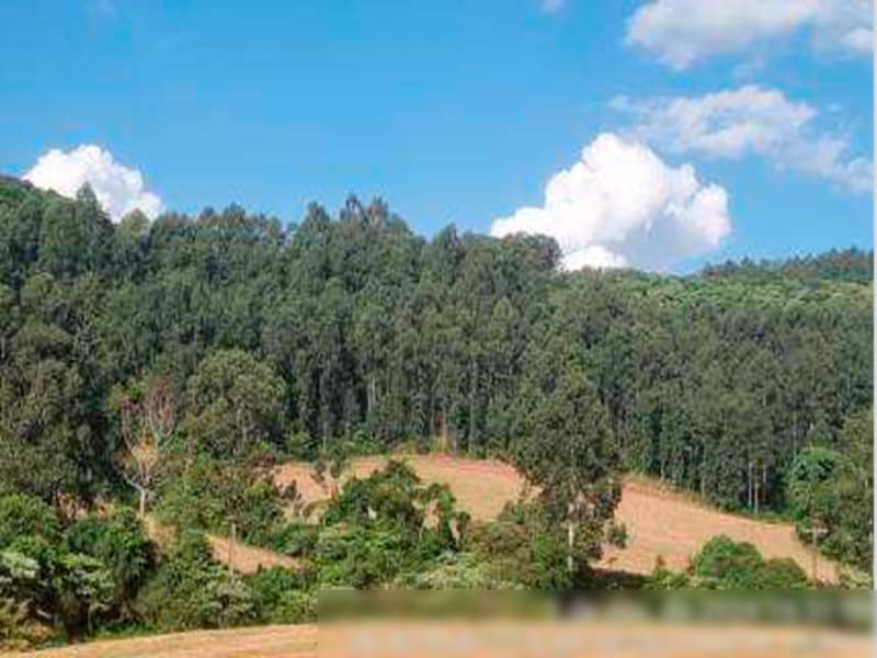 Área Rural - Ipuaçu - SC, localizado em Ipuaçu - SC, bairro Samburá
