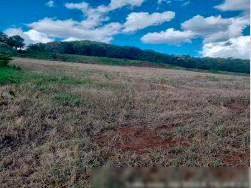 Área Rural - Ipuaçu - SC, localizado em Ipuaçu - SC, bairro Samburá