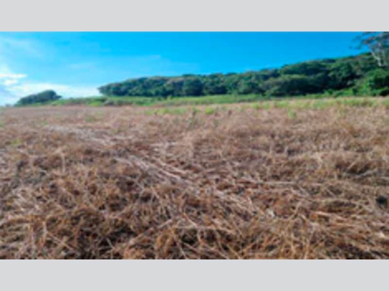 Área Rural - Ipuaçu - SC, localizado em Ipuaçu - SC, bairro Samburá