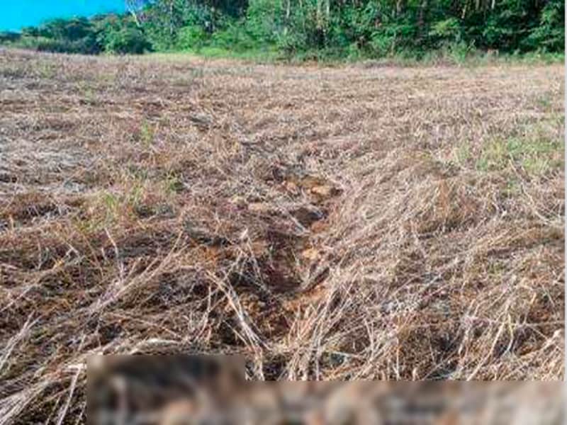 Área Rural - Ipuaçu - SC, localizado em Ipuaçu - SC, bairro Samburá