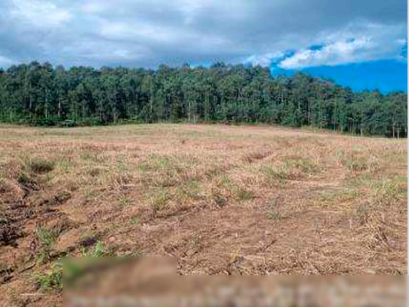 Área Rural - Ipuaçu - SC, localizado em Ipuaçu - SC, bairro Samburá