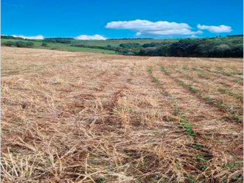 Área Rural - Ipuaçu - SC, localizado em Ipuaçu - SC, bairro Samburá