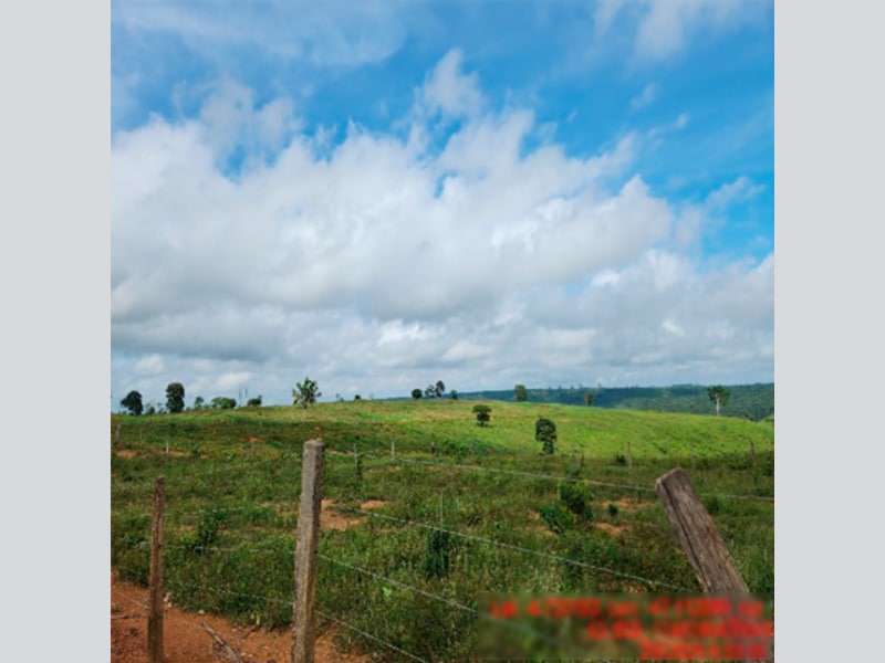Área Rural - Açailândia - MA, localizado em Açailândia - MA