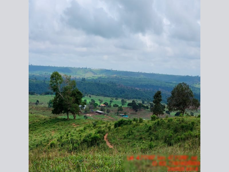 Área Rural - Açailândia - MA, localizado em Açailândia - MA