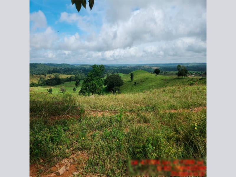 Área Rural - Açailândia - MA, localizado em Açailândia - MA