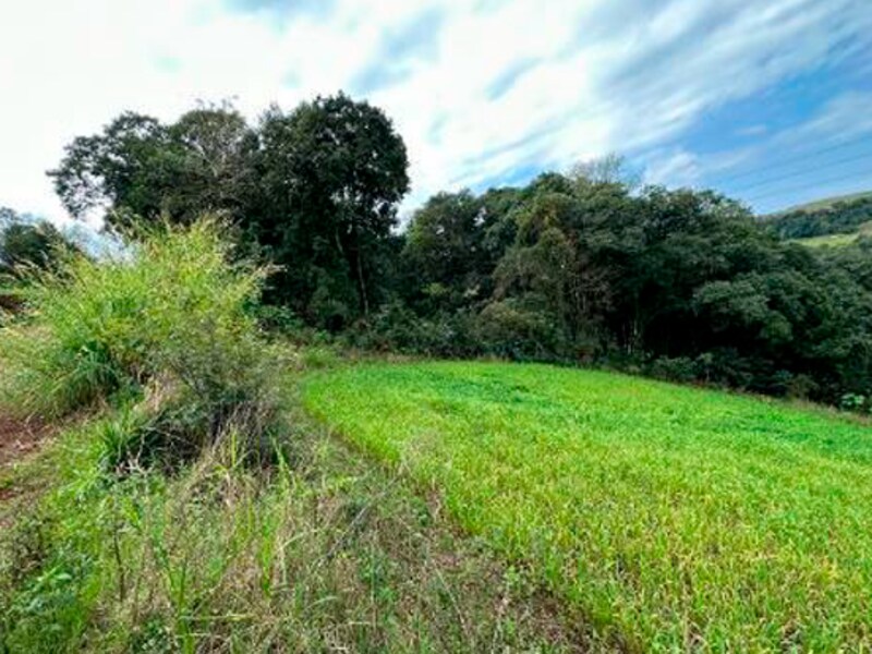 Terreno - São Bernardino - SC, localizado em São Bernardino - SC