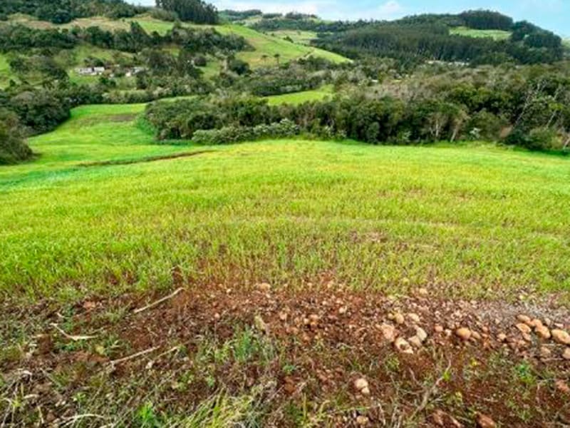 Terreno - São Bernardino - SC, localizado em São Bernardino - SC