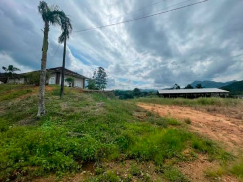 Terreno - Corupá - SC, localizado em Corupá - SC, bairro Vila Izabel