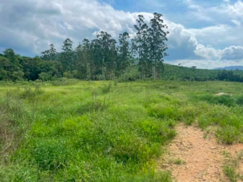 Terreno - Corupá - SC, localizado em Corupá - SC, bairro Vila Izabel