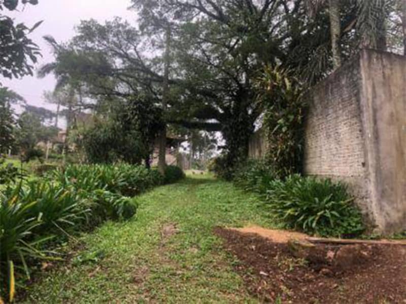 Casa - Dois Irmãos - RS, localizado em Dois Irmãos - RS