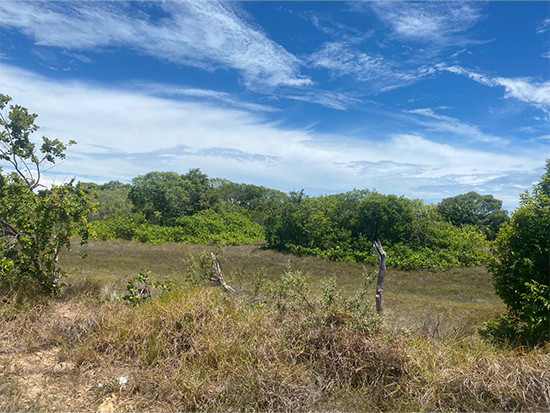 Terrenos - Itaporanga D'ajuda - SE - Terreno Urbano,Terreno Rural - Itaporanga D’Ajuda/SE. Loteamento Vila Rica do Abais. Avenida D, sn (Lote 30 da Quadra 68). Terreno com área superficial de 300,00m². Matrícula 12.437 do 1º RI local. - Não informado BR - lance mínimo R$ 345.579