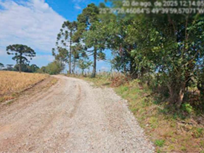 Fazenda - Lapa - PR, localizado em Lapa - PR