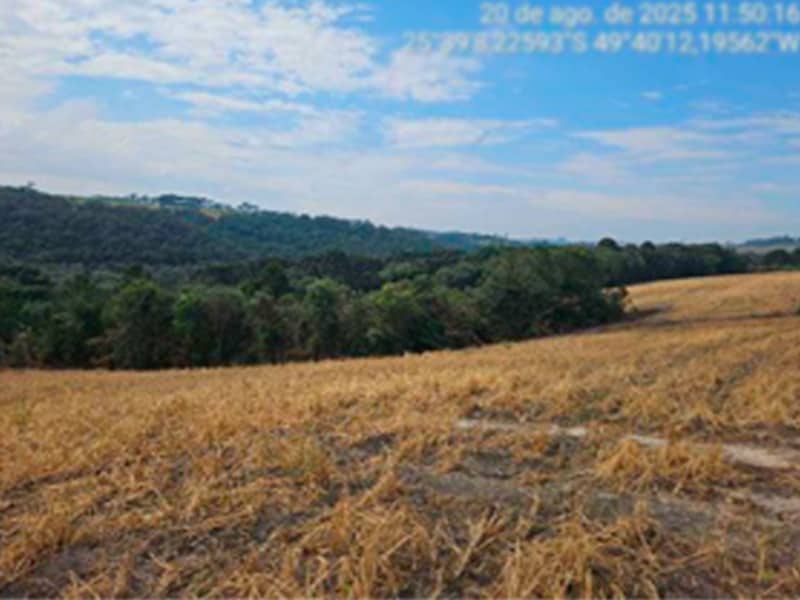 Fazenda - Lapa - PR, localizado em Lapa - PR