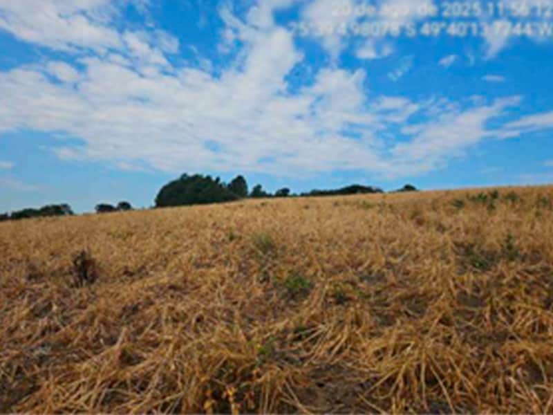 Fazenda - Lapa - PR, localizado em Lapa - PR