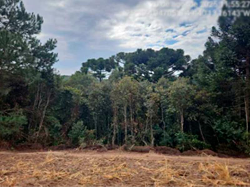 Fazenda - Lapa - PR, localizado em Lapa - PR