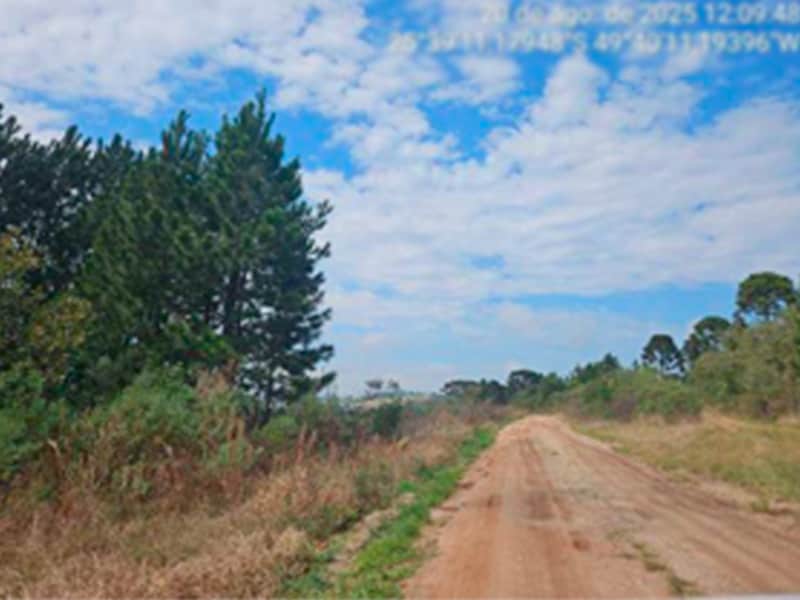 Fazenda - Lapa - PR, localizado em Lapa - PR
