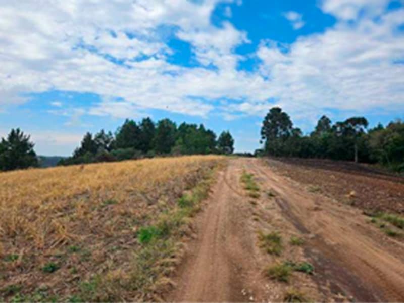 Fazenda - Lapa - PR, localizado em Lapa - PR