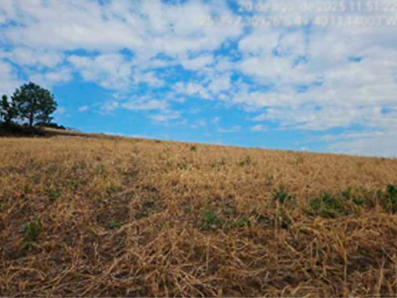 Fazenda - Lapa - PR, localizado em Lapa - PR
