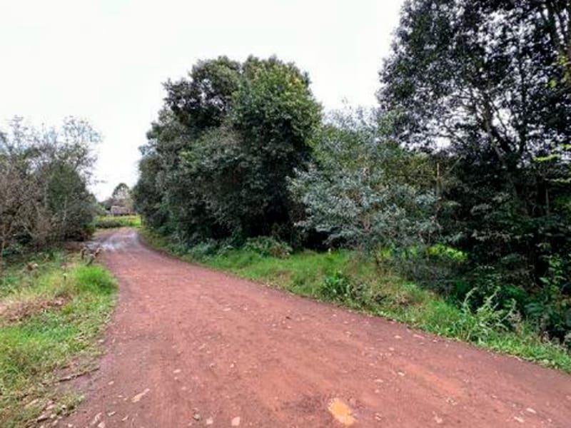 Terreno São Bernardino SC, localizado em São Bernardino - SC