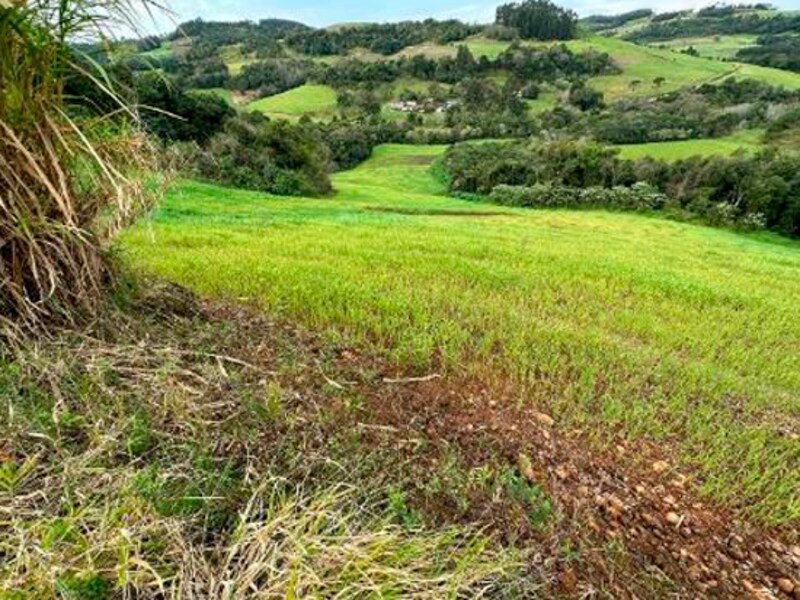 Terreno São Bernardino SC, localizado em São Bernardino - SC