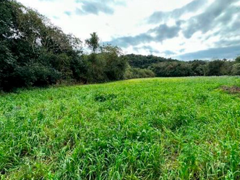 Terreno São Bernardino SC, localizado em São Bernardino - SC