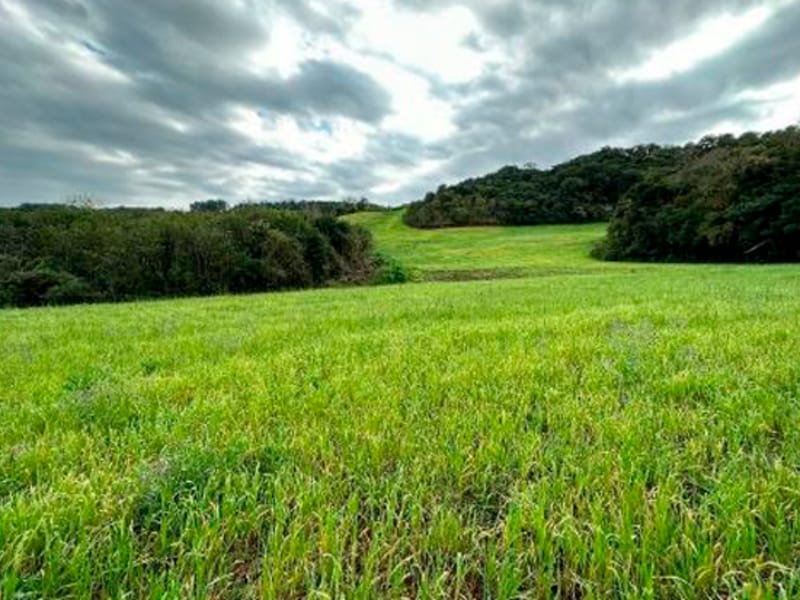 Terreno São Bernardino SC, localizado em São Bernardino - SC