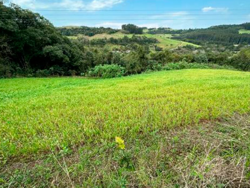 Terreno São Bernardino SC, localizado em São Bernardino - SC