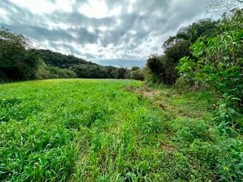 Terreno São Bernardino SC, localizado em São Bernardino - SC