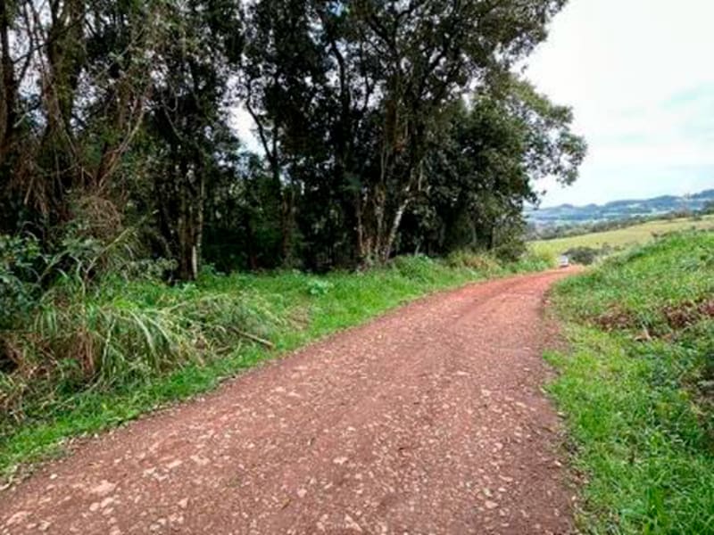 Terreno São Bernardino SC, localizado em São Bernardino - SC