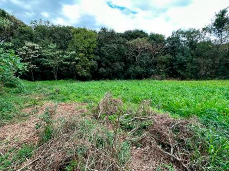 Terreno São Bernardino SC, localizado em São Bernardino - SC