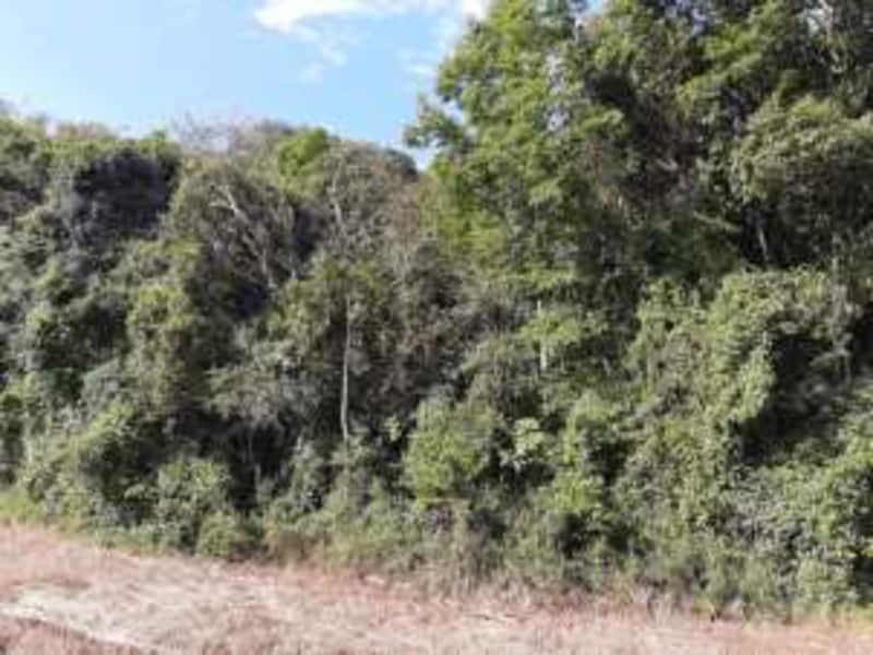Terreno São Bernardino SC, localizado em São Bernardino - SC